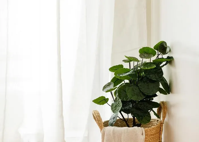 Apartament Rock White Lotus Kalambaka